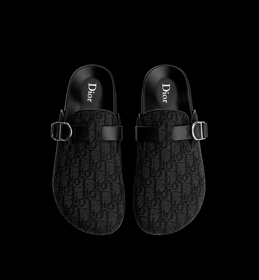 Dior Birkenstock